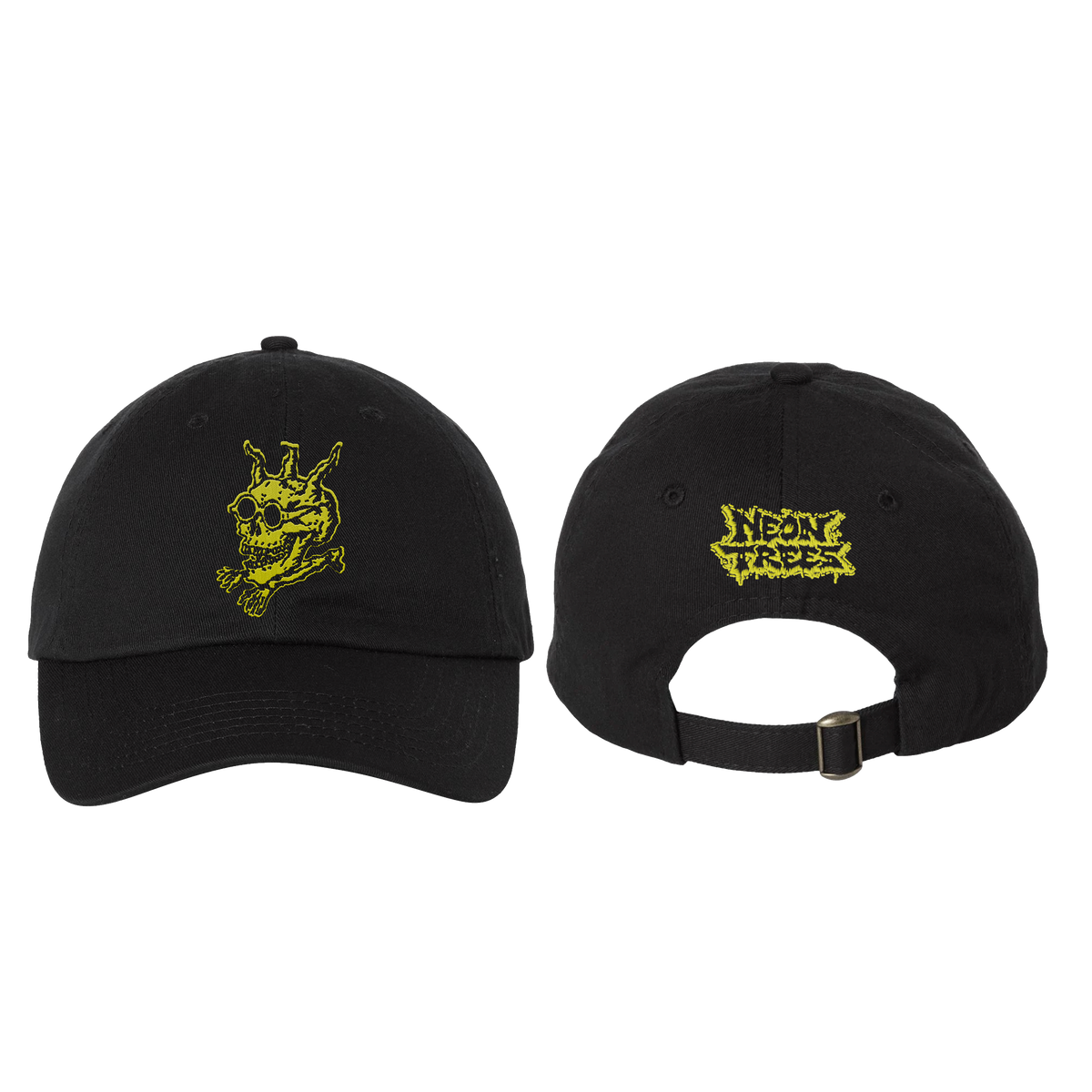 Skull Dad Hat